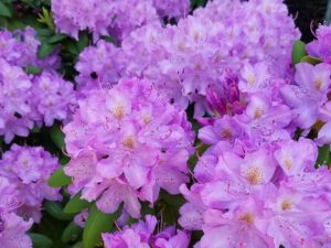 The sun is shining in Hightstown NJ.  Come visit us!