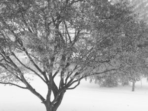 Another blustery day in Hightstown, NJ @cranburydesigncenter ! Stay safe and warm everyone! #snowday #njkitchenandbath #designnj #downtownhightstown