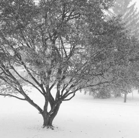 Another blustery day in Hightstown, NJ @cranburydesigncenter ! Stay safe and warm everyone! #snowday #njkitchenandbath #designnj #downtownhightstown