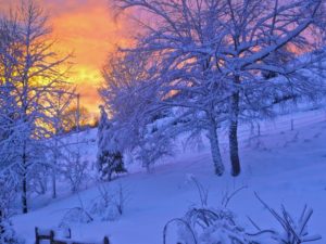 Happy New Years from our family to yours! #njkitchendesign #snowyday #newyearswishes #designnj