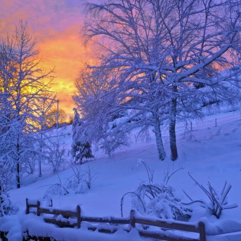 Happy New Years from our family to yours! #njkitchendesign #snowyday #newyearswishes #designnj