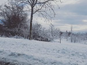 A little snow did not keep our hosts @hhappliance from showing our team a great time at the @addesignshow in NY! Thank you so much!
#hhappliance #designnj #nydesign