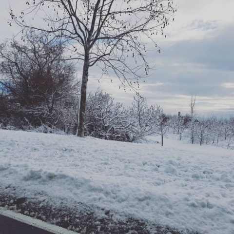 A little snow did not keep our hosts @hhappliance from showing our team a great time at the @addesignshow in NY! Thank you so much!
#hhappliance #designnj #nydesign