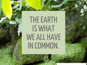 Please enjoy our tribute to Earth Day! #liveedgewoodcounters #wendellberry #earthday #designnj