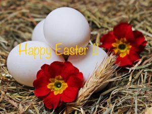 Wishing our family and friends a Happy Easter 🐇🐣🌷
#easterwishes #njkitchens #designnj