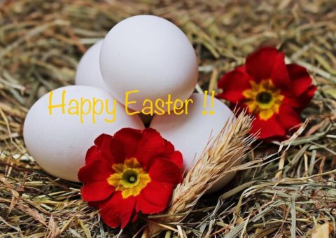 Wishing our family and friends a Happy Easter 🐇🐣🌷
#easterwishes #njkitchens #designnj