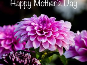 Did you ever notice MOM spelled upside down is WOW? #mothersdaywishes #happymothersday #springflowers🌸  #designnj #momsday