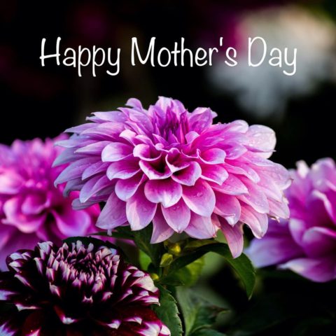 Did you ever notice MOM spelled upside down is WOW? #mothersdaywishes #happymothersday #springflowers🌸  #designnj #momsday