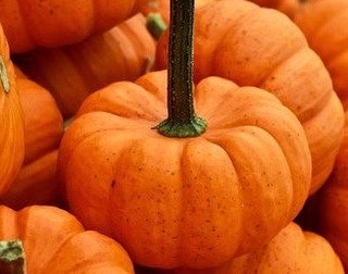 Welcome October! It's a great time to start planning your kitchen or bathroom renovation project! We can help! #designnj #kitchendesign #kitchenandbathshowroom #newjerseykitchenandbath #downtownhightstown