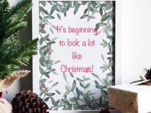 We’re just about ready for Christmas! #christmastree #christmaswishlist #downtownhightstown #holidaywishes #readyforsanta #iwantanewkitchen #njkitchendesign