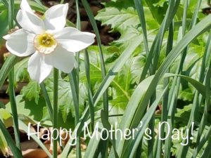 Wishing our family and friends a very Happy Mother’s Day! #mothersday #familytime #mothersdaywishes