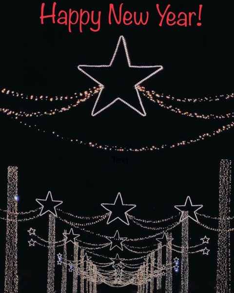 Happy, Healthy New Year!#newyears #happynewyear #newyearswishes